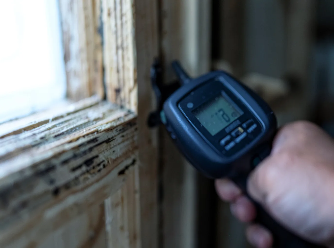 Moisture Inspection And Documentation in Saint Anthony, ID